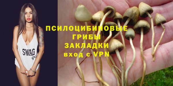 a pvp Кулебаки