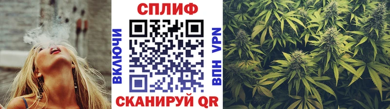 Шишки марихуана сатива  купить закладку  Кондрово 